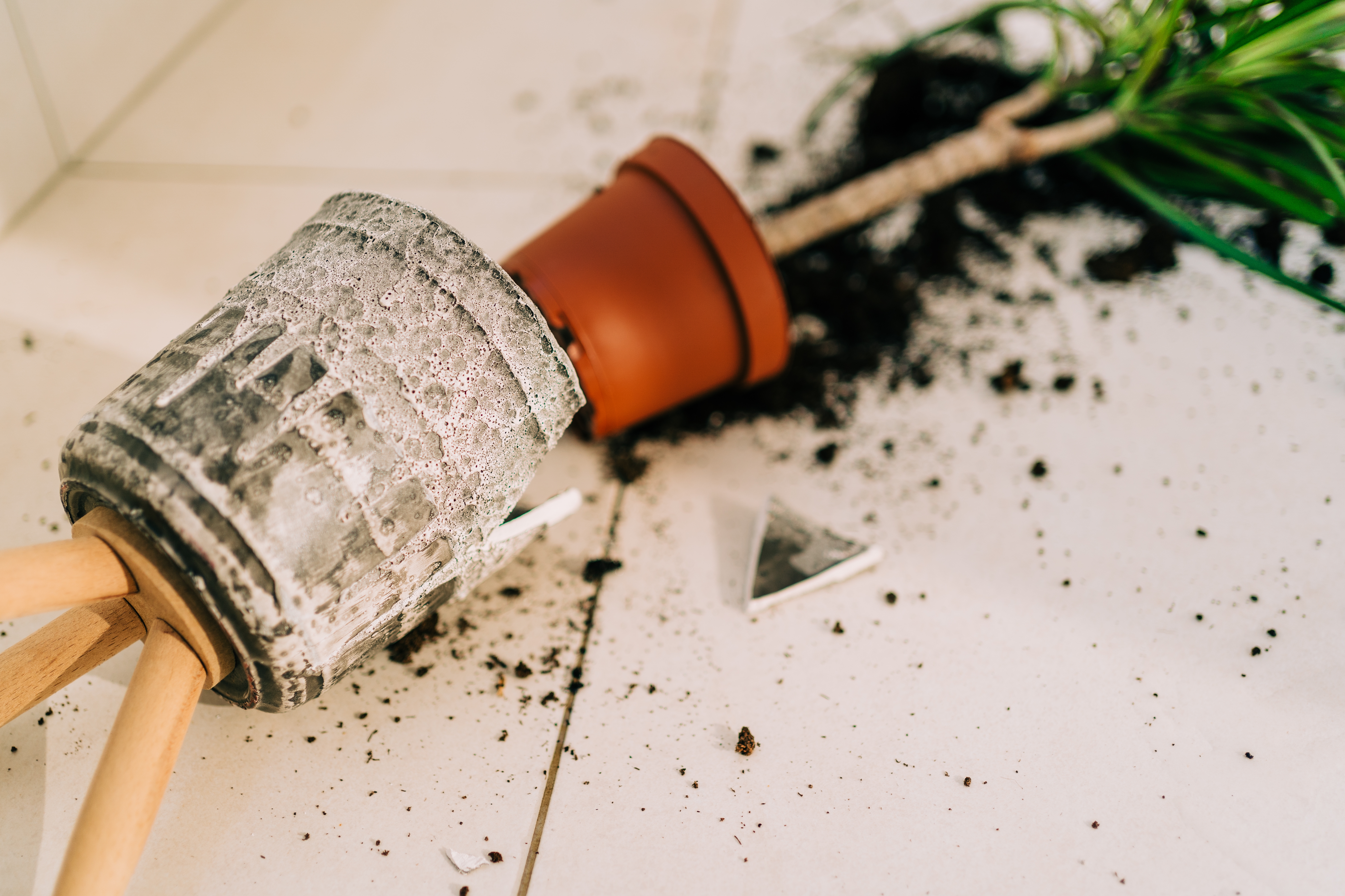 Damaged property in short-term rental